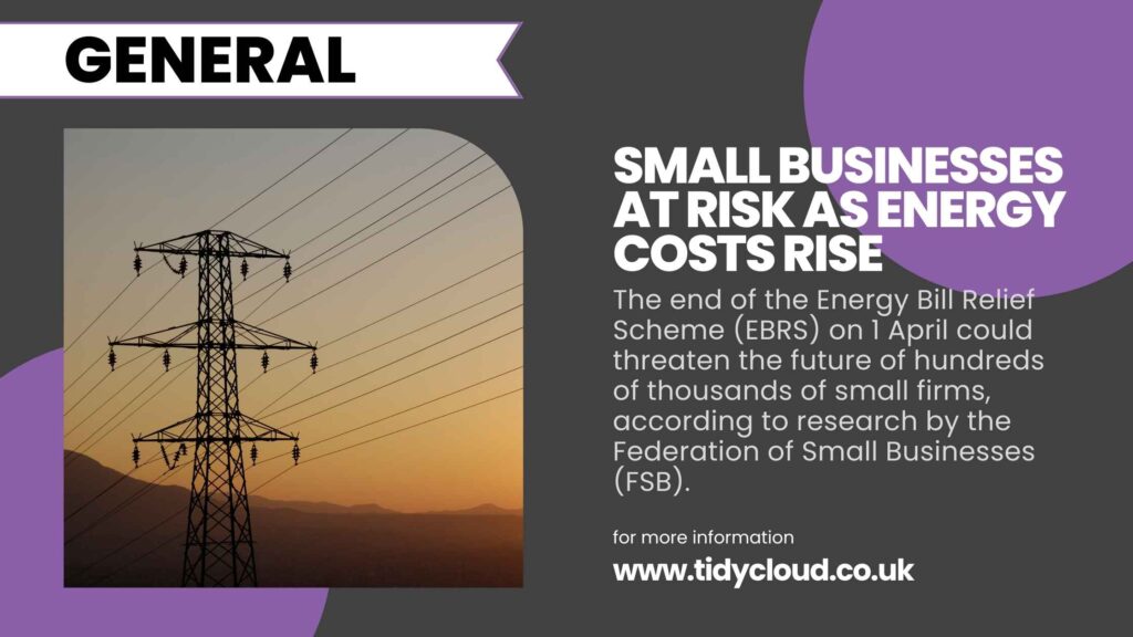 Small businesses at risk as energy costs rise