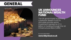 National Wealth Fund