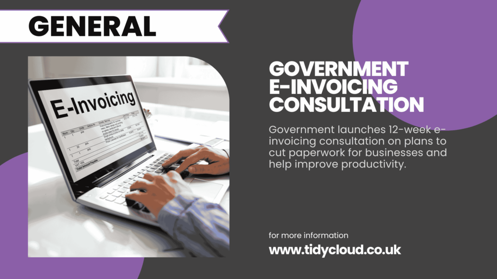 e-invoicing consultation