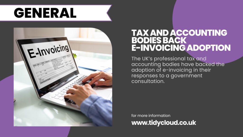 E-Invoicing backed by accounting bodies.